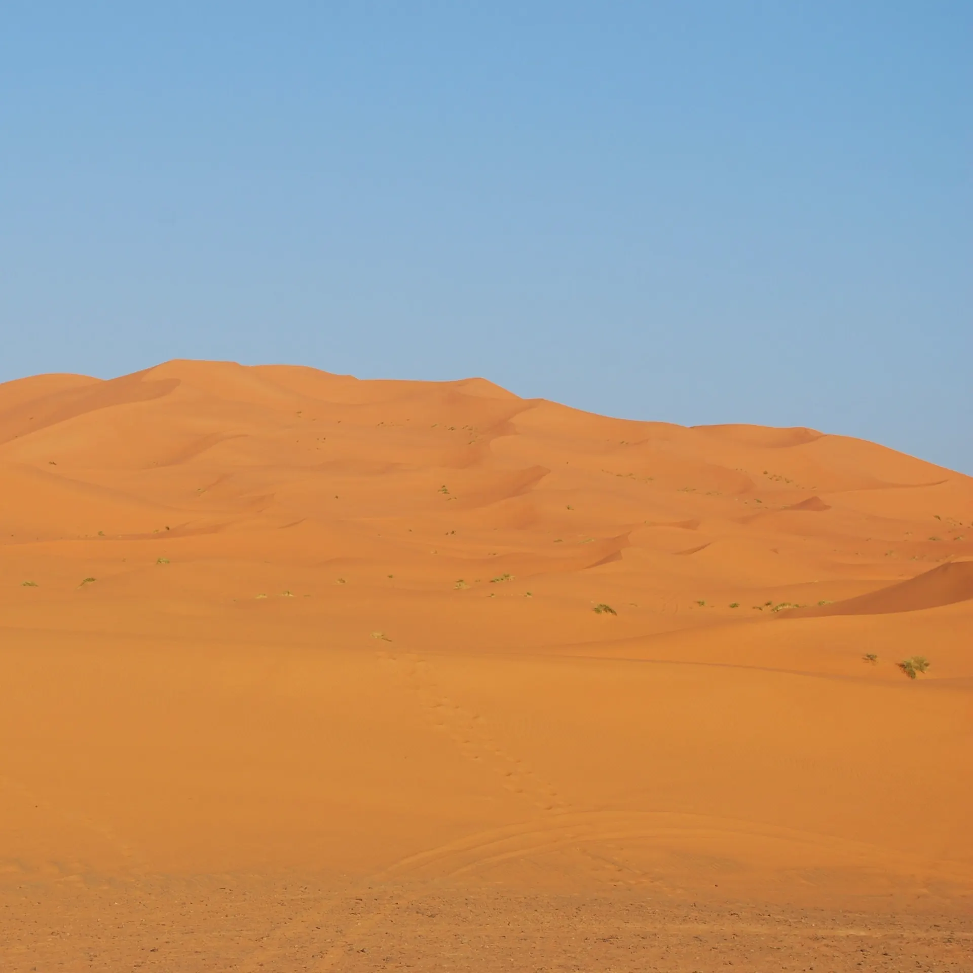 Một đêm ở sa mạc Merzouga
