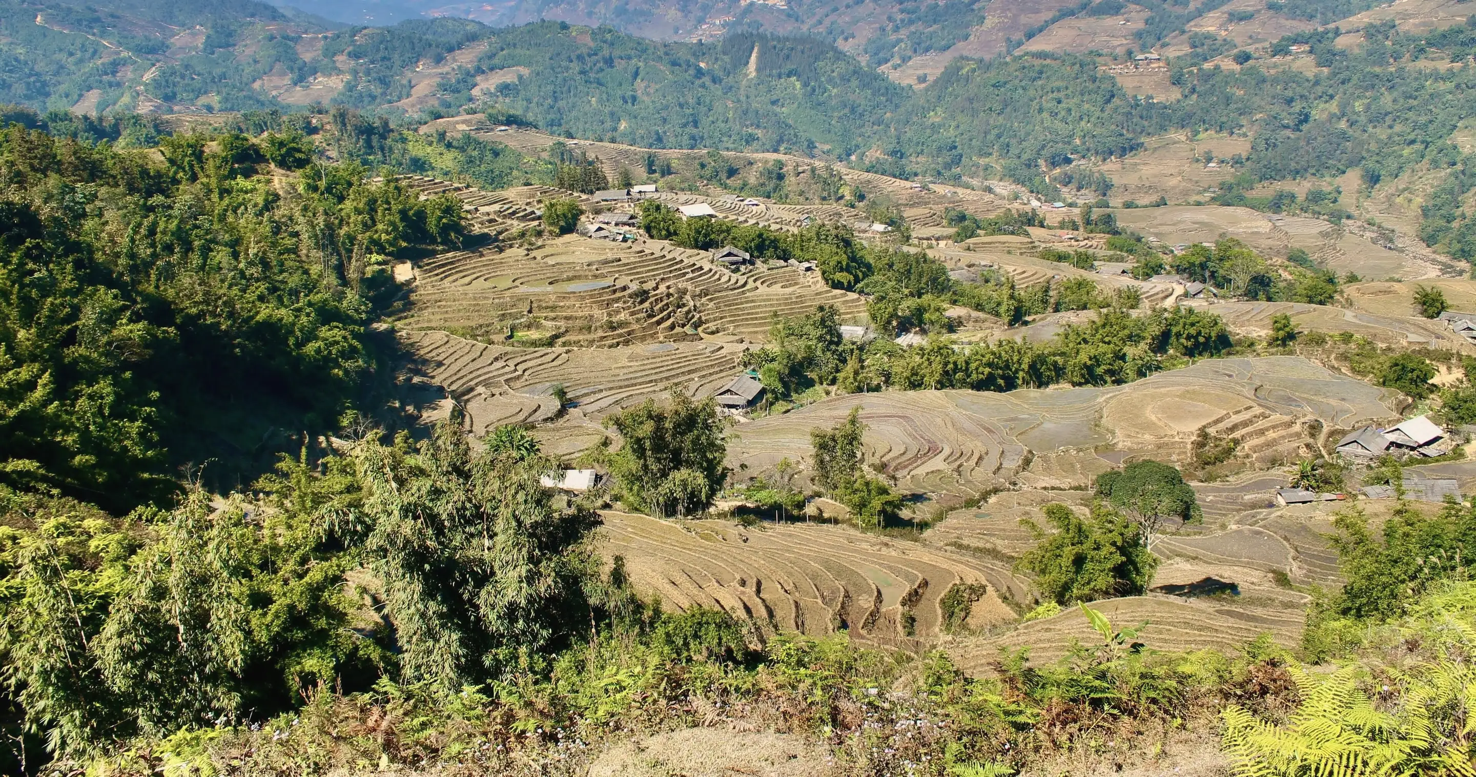Sapa