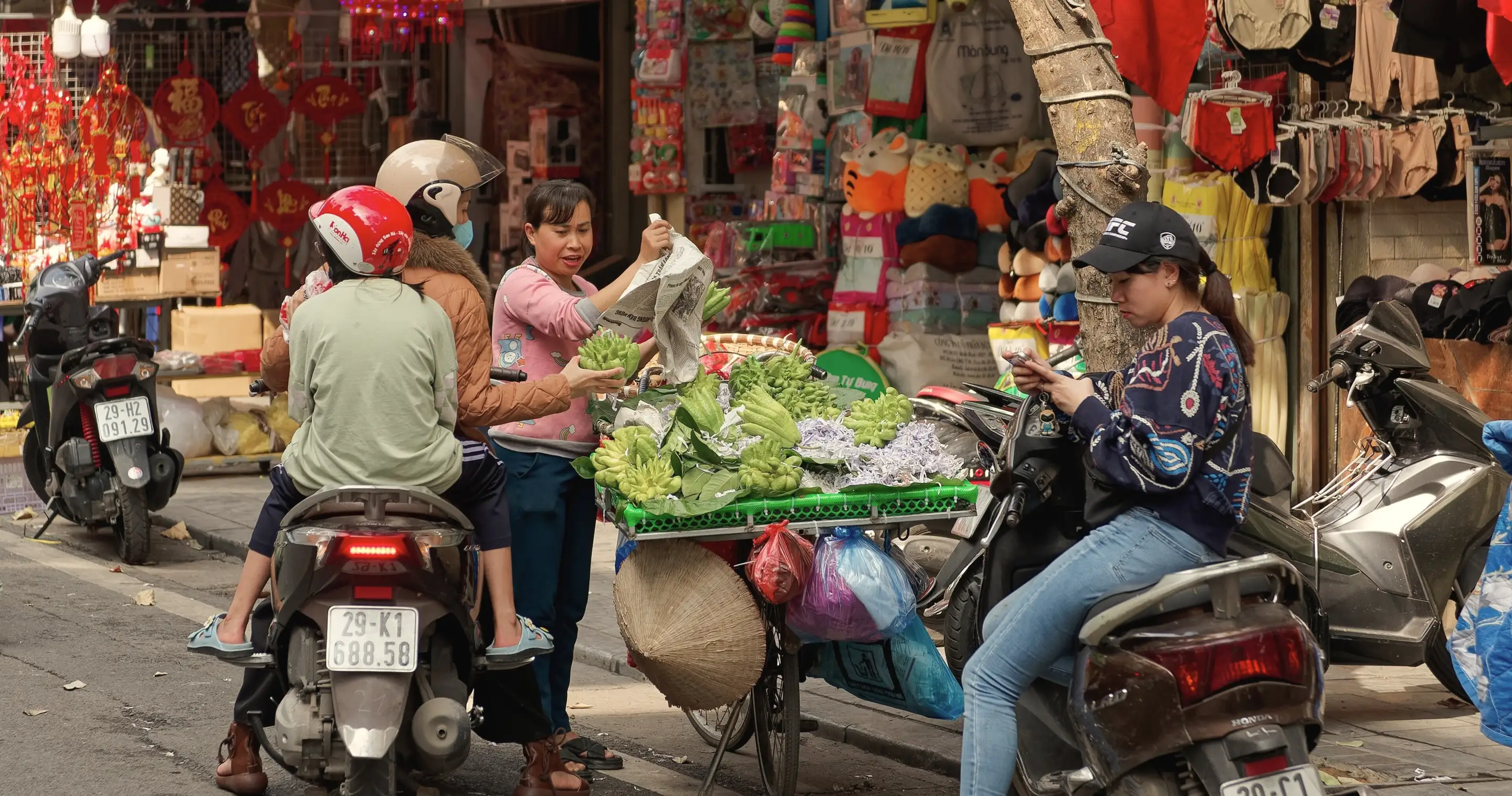 Hanoi · Ha Long Bay · Sapa