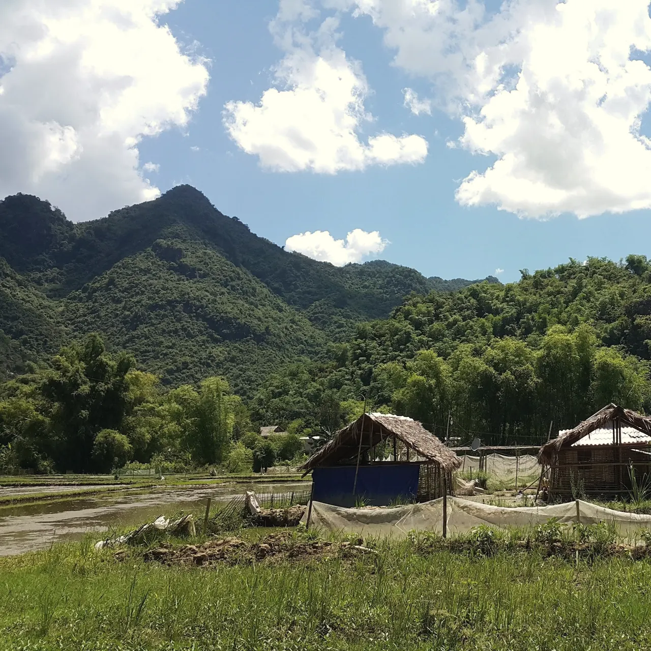 Đạp xe quanh bản Lác
