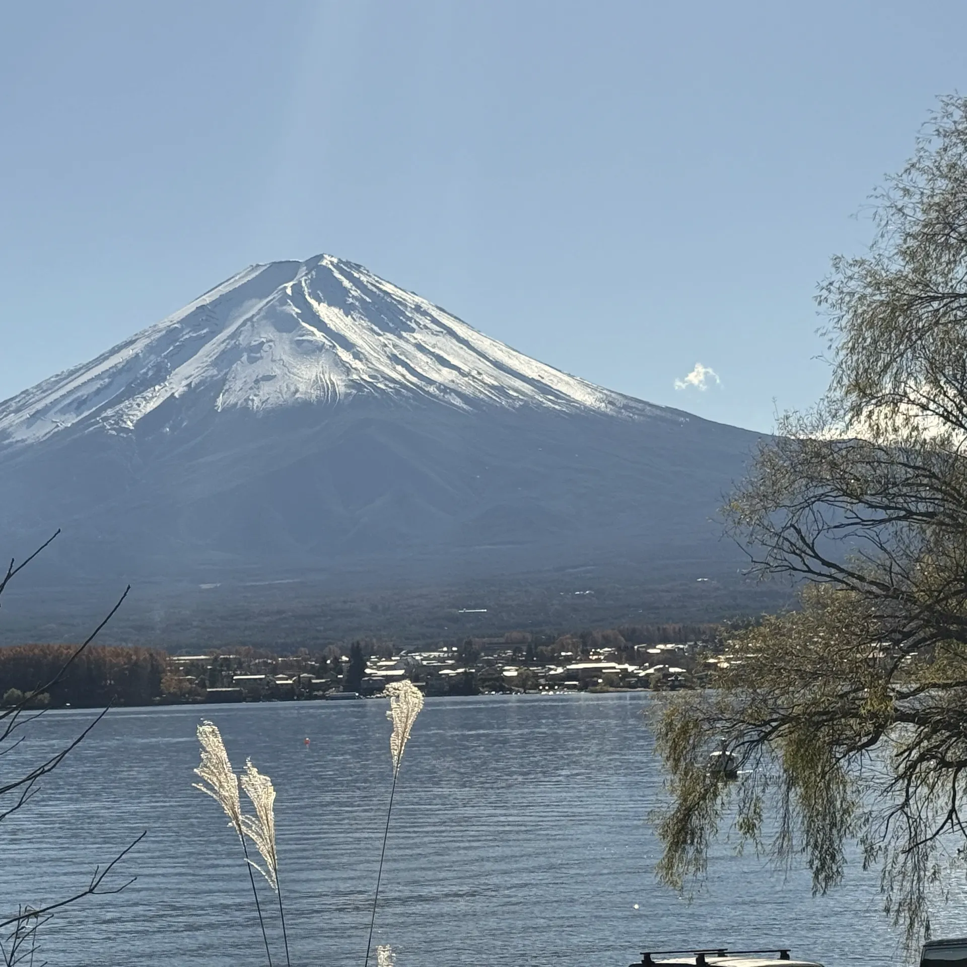 Kyoto dưới tán hoa