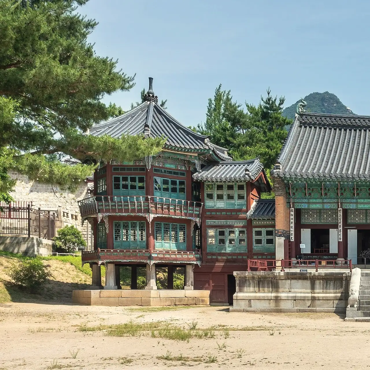 Hàng cây trên đảo Nami