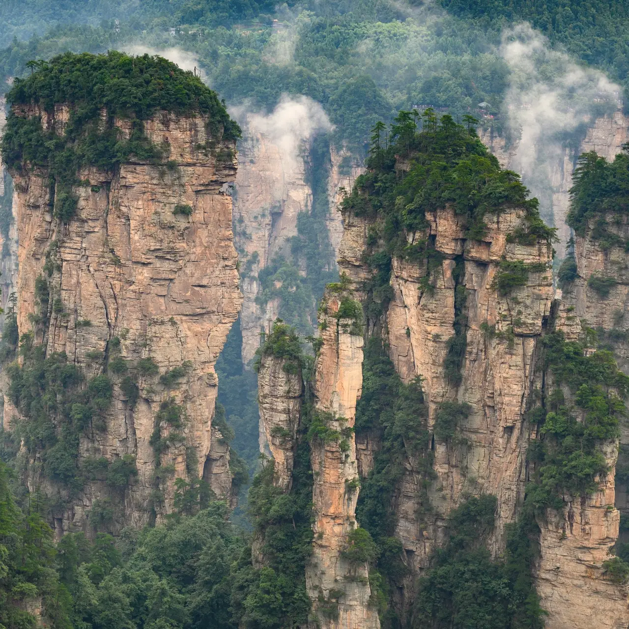Tu viện Tùng Tán Lâm