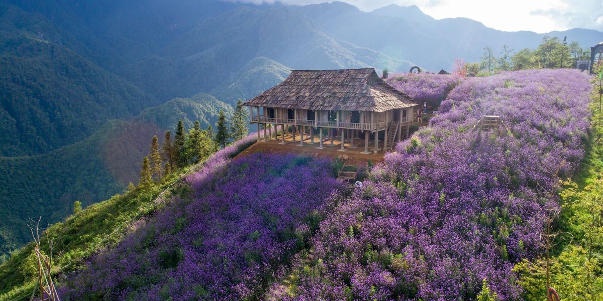 DAY 3: VALLEY TREKKING & CULTURAL IMMERSION | Sapa → Hanoi (B/L/-)