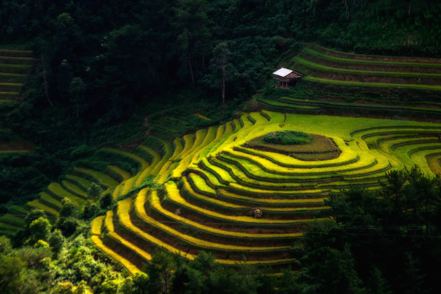 DAY 4: CONQUERING THE GREAT MOUNTAIN PASSES (B/-/D)