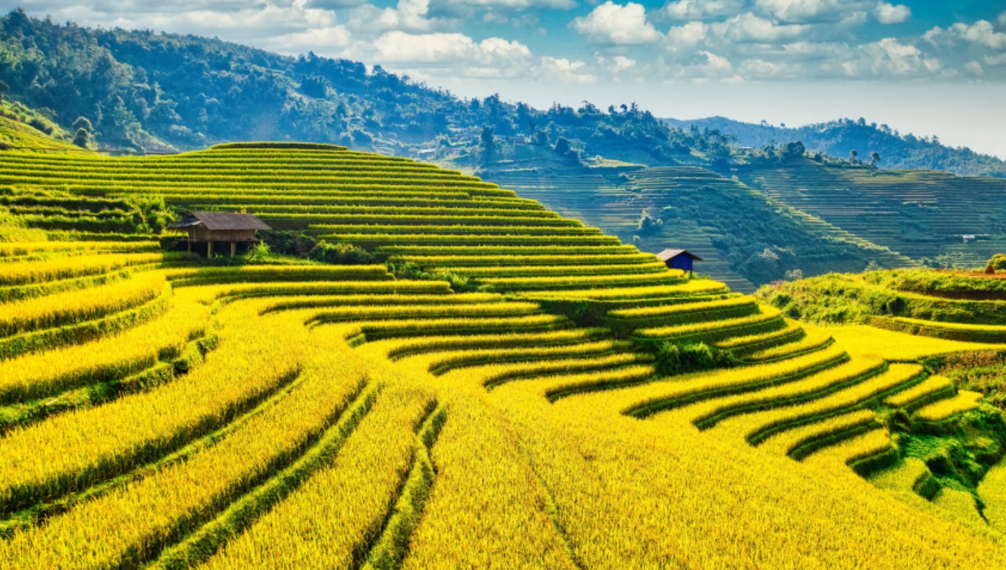 Personalize your Asia experience journey