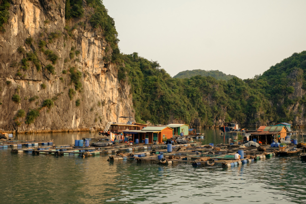 DAY 1: AN AUTHENTIC MEKONG ADVENTURE | Ho Chi Minh City → Cai Be → Ho Chi Minh City (-/L/-)